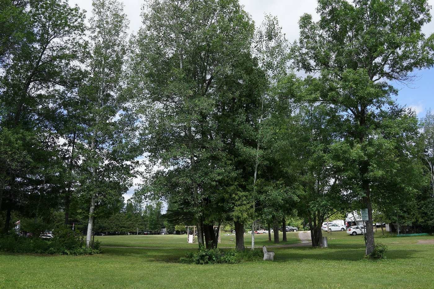 Welcome to Cedar Grove Park